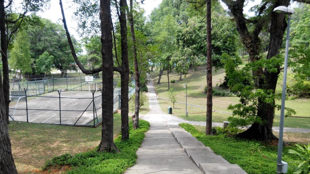 10 Day Course Site